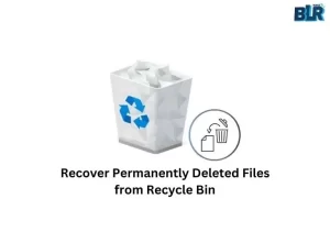 Recover Recycle Bin files