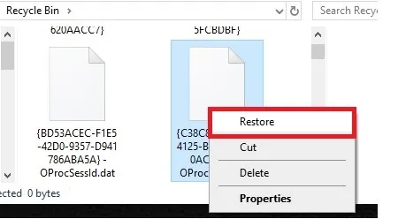restore deleted bin files