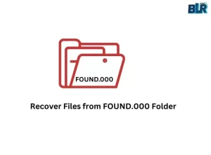 Recover Files from FOUND.000 Folder