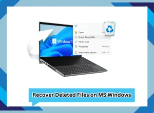 Recover-Deleted-Files-on-MS-Windows