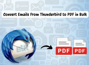 convert-thunderbird-to-pdf