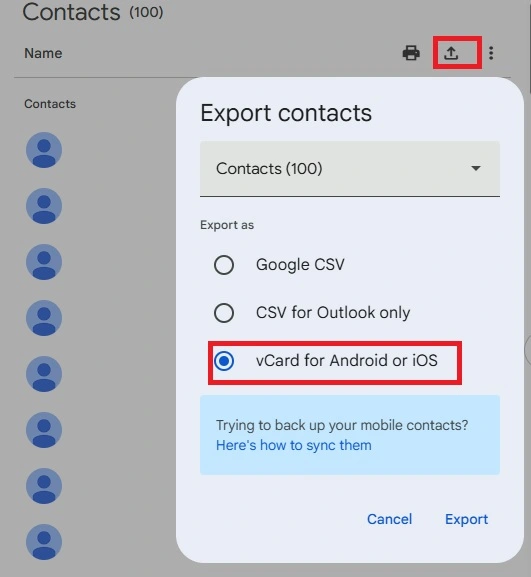 Choose the vCard Format