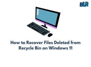 How to Recover Files Deleted from Recycle Bin on Windows 11